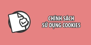 Chính sách sử dụng Cookies